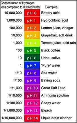 What Is the pH of RO Water?-What You Need to Know